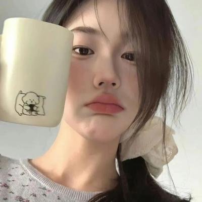 圣杯骑士